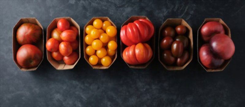 Type of Tomatoes