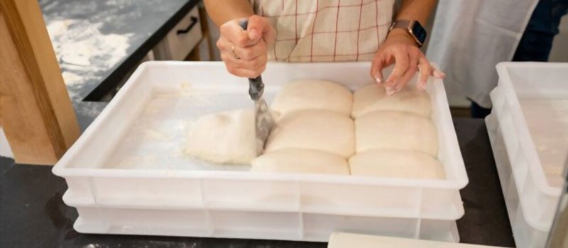 Best Pizza Dough Proofing Box