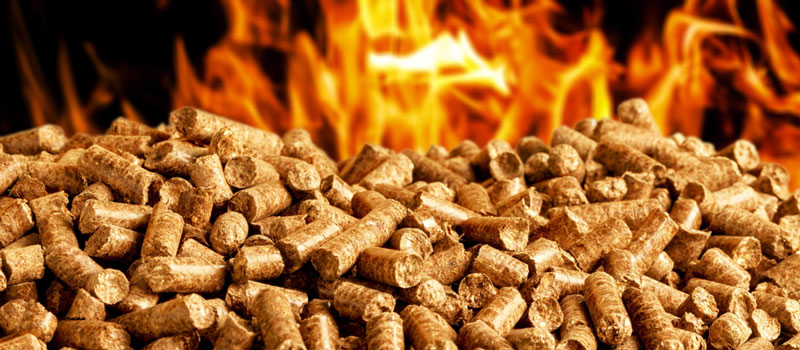 Best Wood Pellets for Pizza Oven