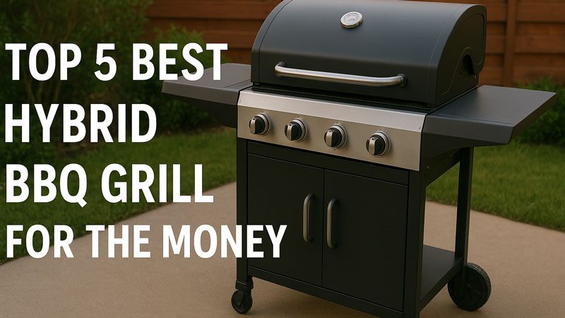 Best Hybrid BBQ Grill for the Money