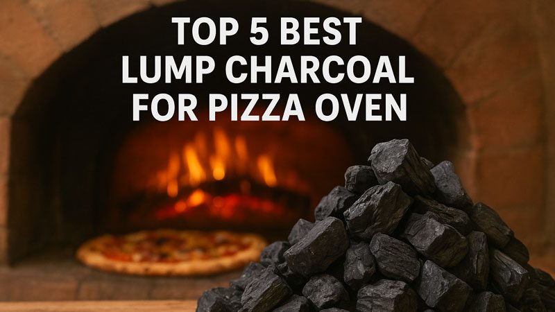 Best Lump Charcoal for Pizza Oven