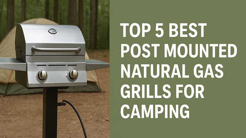 Best Post Mounted Natural Gas Grills for Camping